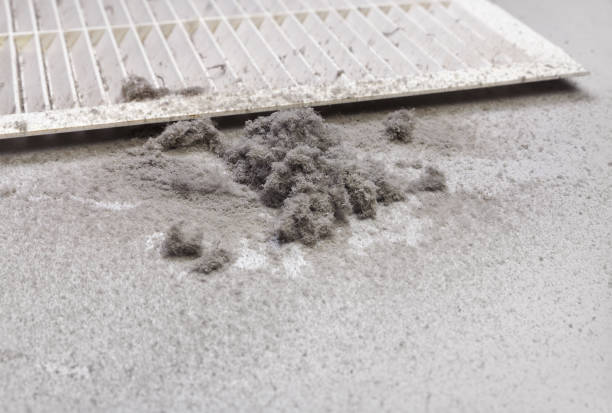 Best Ductwork Cleaning Services  in Chackbay, LA