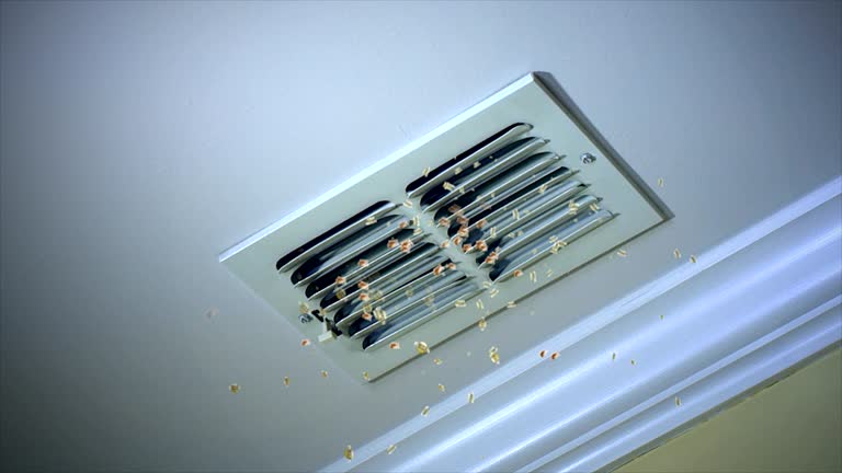 Best Affordable Duct Cleaning Services  in Chackbay, LA