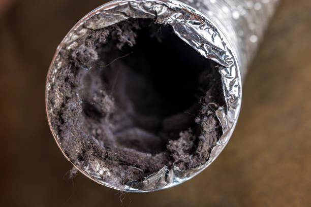 Best Air Duct Cleaning Near Me  in Chackbay, LA