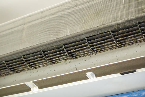 Best HVAC System Cleaning  in Chackbay, LA